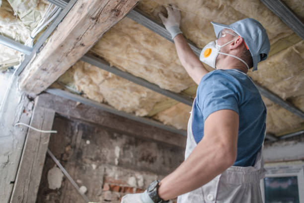 Best Geographic-Specific Insulation Services in Smyrna, DE