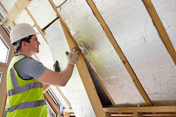Best Eco-Friendly Insulation in Smyrna, DE